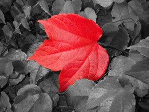 syros2js_blacknwhiteautomn