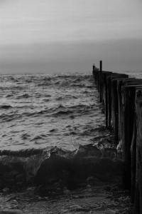 10930143_859088167465789_23735054674682379_n