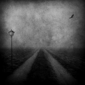 1236196_862607243780548_6641931065228510710_n