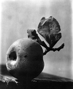 11015094_1081172131899696_4239171323692788261_n