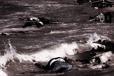 11159481_873491702707218_552791743063044761_n