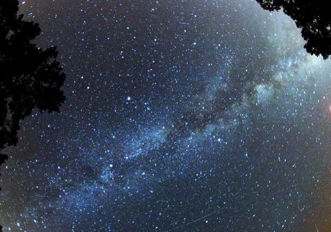 18883_996609557018471_574903719156683302_n