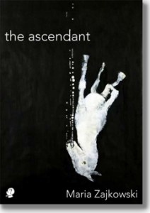 KyQlKrEAlRC5_Vh3StT8UpScc1jcHD3w-ARPtRDvXgRdVFSp9AXzdgghrqm0JJkmQGG5u8r5-FbZc3GleG2tQ99vrAA4h0Fzaf-mg3nH6xZHQTktcO5hwiP3rFCt6Q=s0-d-e1-ft