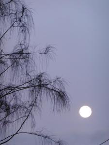 Φώτο: Valli Poole