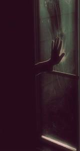 11206094_441982232647144_1922628268397553988_n