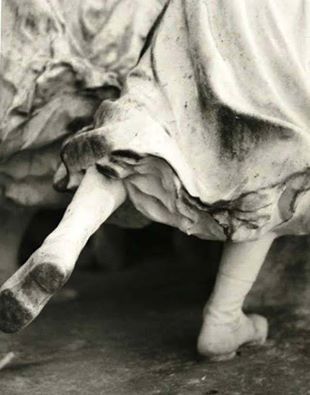 11255210_10206107911032488_7232975263786166545_n