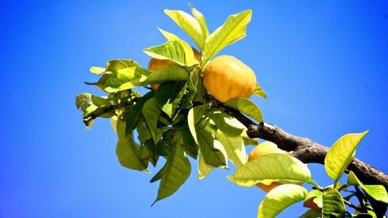 6148504-16x9-700x394