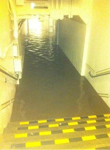 80ed9081-5f96-4cc7-9797-f15c72367556_tostorm7