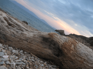 Screen+Shot+2014-08-24+at+3.01.24+PM