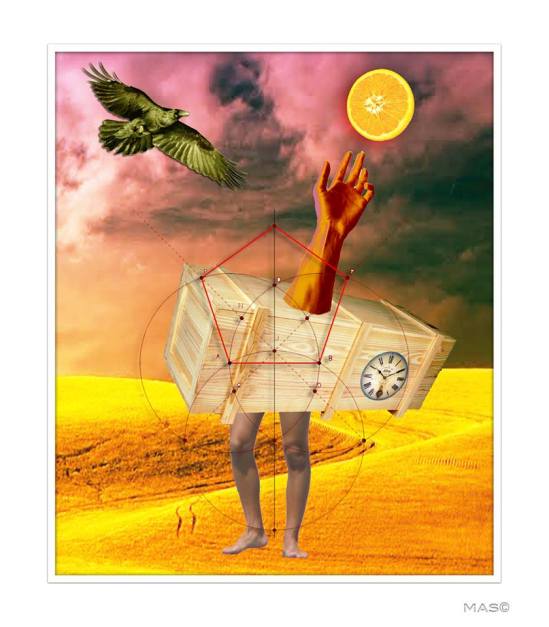 11401389_10204207072359993_2143086124189055088_n