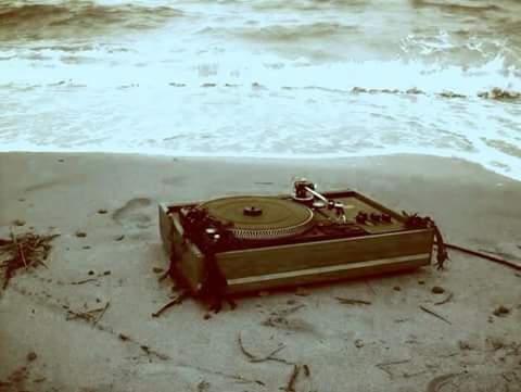 11695797_10207580645460525_5433840148028564746_n