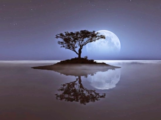 )Kαλό+βράδυ,+είπε+το+φεγγάρι+στο+δέντρο...το+λυπήθηκε...+που+ήταν+έρημο...