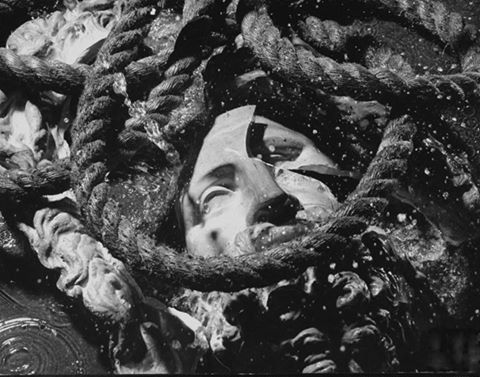 11707469_10206118495340012_9131671086114409700_n