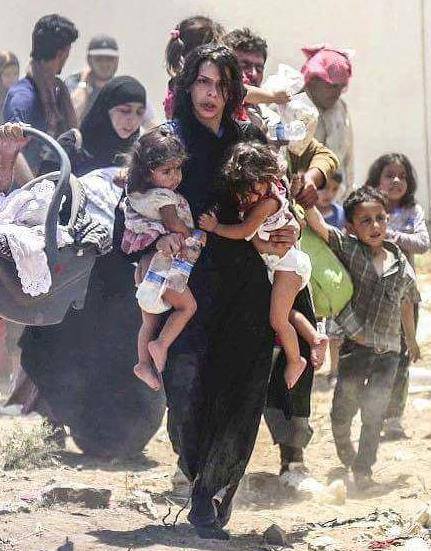 11892213_820442388077232_2030696007676006350_n