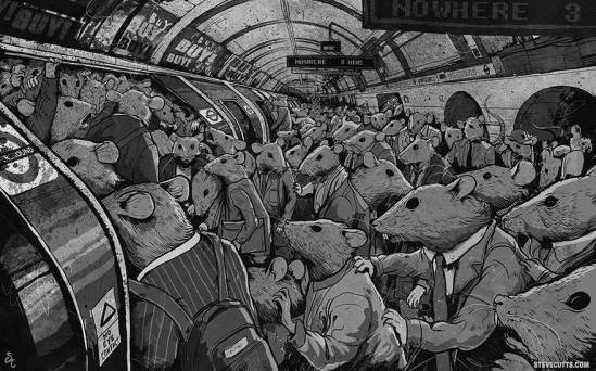 11895975_406661106190101_6893622461447331423_n