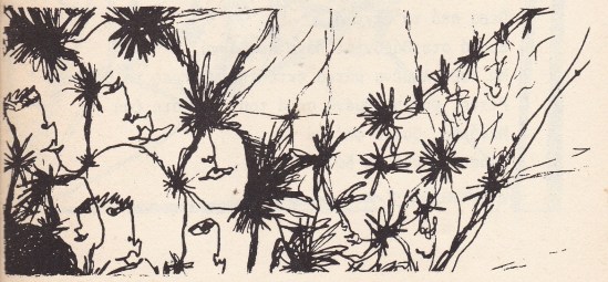 ΝΤ. Ντ. Φαντούλ