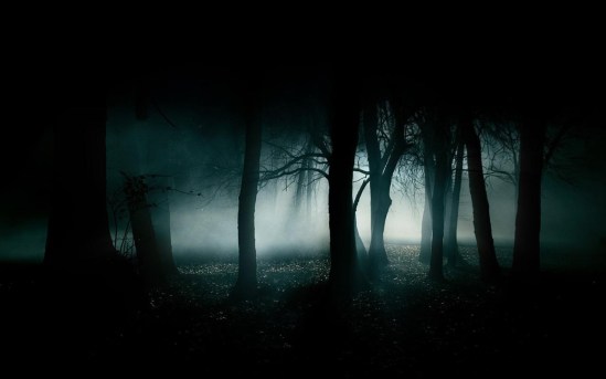 forest-dark-fog-dark-forest-wallpaper