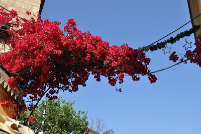 ARGOLIDA 30052011 015