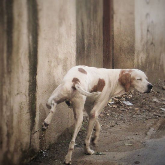 Φωτογραφία: Γιώτα Παναγιώτου