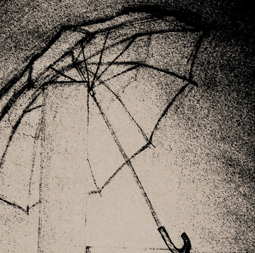 6783827443_bef1863383