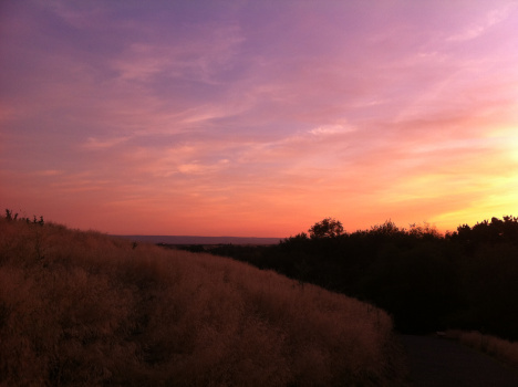 Despoiniadis,Kostas-OiKynigoi-Eikona-01