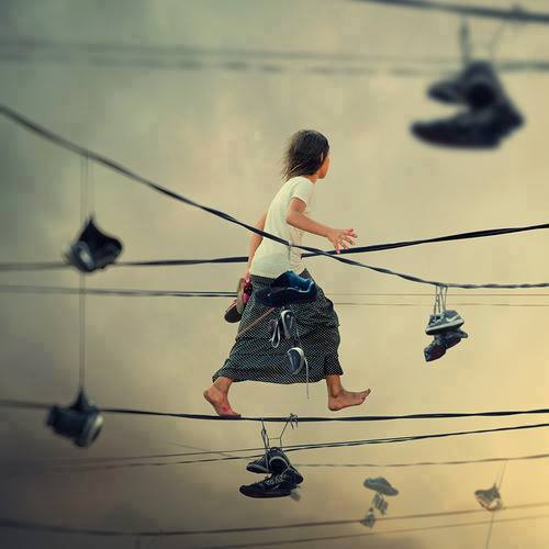 12524032_441247302725300_9043493495976652076_n