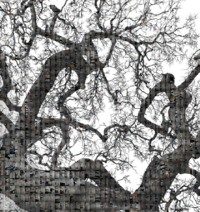 Τύποι ήλων