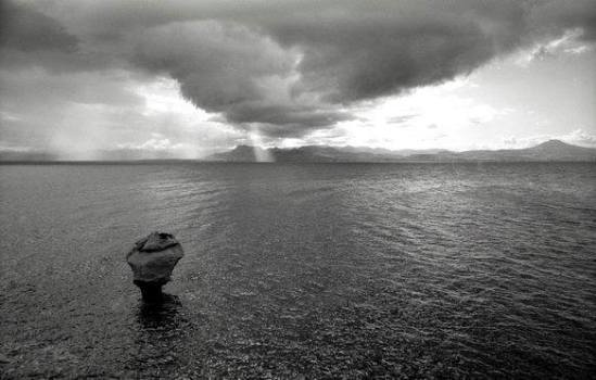 12715265_559647297545293_7302266141783359090_n