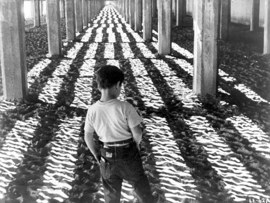 little-fugitive-engel-web