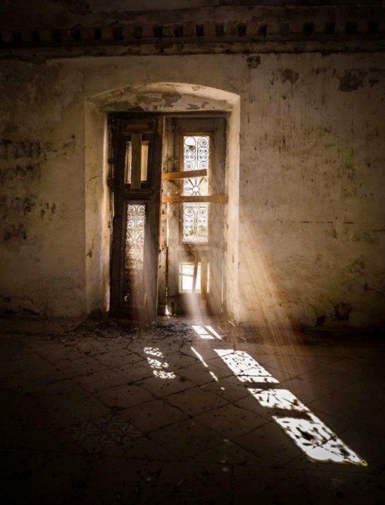 11001858_772084132861720_7345129821133901078_n