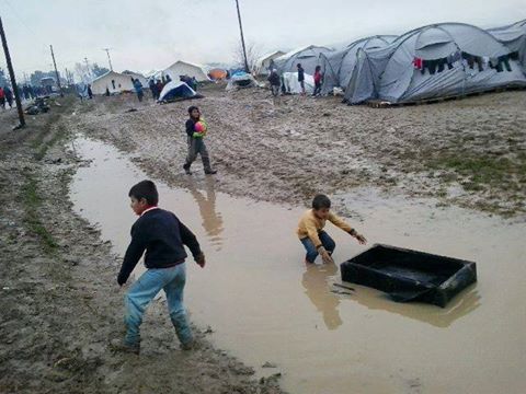 1916449_228224374198240_7626439945304981599_n