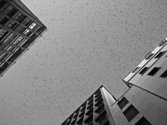 τσιγάρο δανεικό έσοδο κρατικό μηδέν