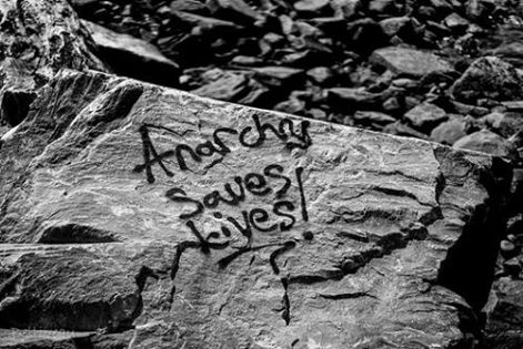 10338267_10202511995102801_1731870229748130600_n