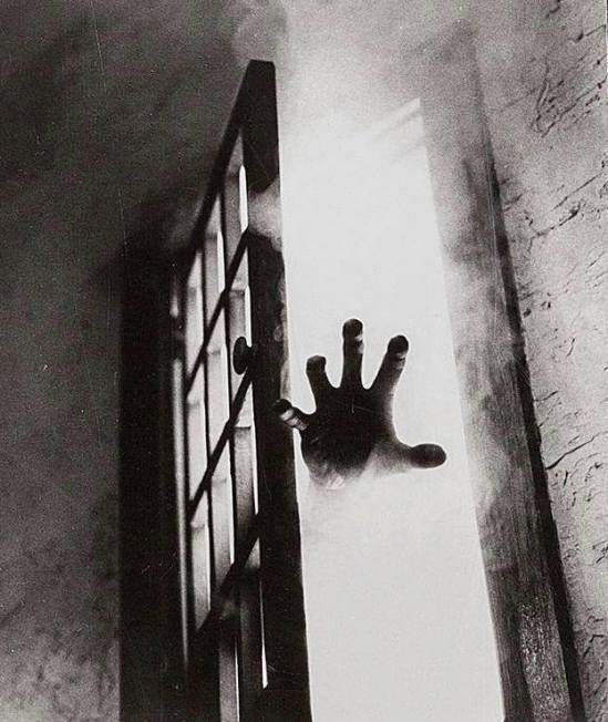 7350_474011099476136_3291498188694650042_n