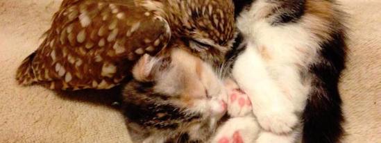 74975_10153450378132895_7929676638083461628_n