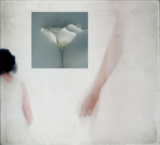 Ενδιάμεσο δέρμα