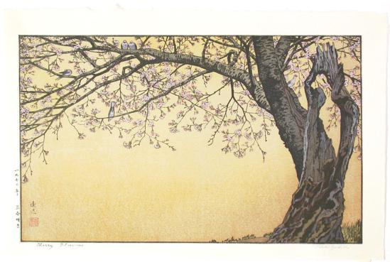 Yoshida Toshi, Cherry Blossoms