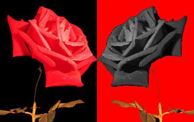 523448_3319481828857_973279431_n