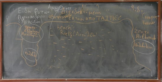 ceaccf81cebaceb5cf85ceb8cebfceb9