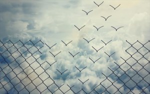 poulia-i-dunami-tou-ti