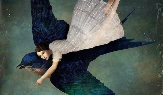 Daria-Petrilli3-857x500