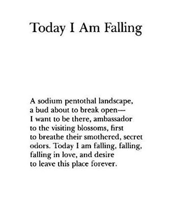 11207331_1649088918655127_5536420760640694065_n