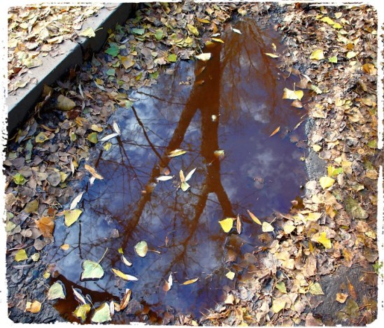 Φώτο: Alex Markovich