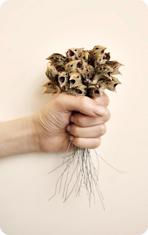 Αrtwork: Polly Morgan