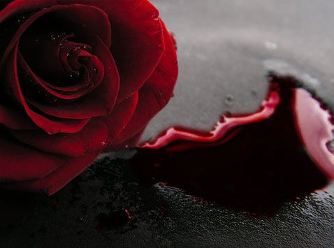 6c8fdde4d45649398b5aa2f46a0e77c2