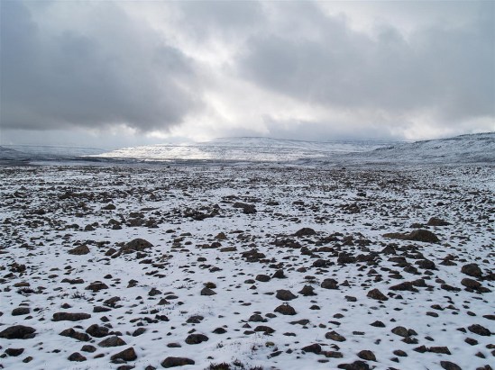 4989262765_43df6d09e2_b