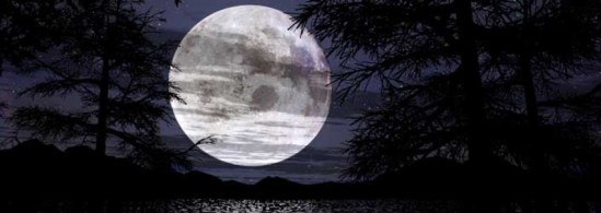 cropped-cropped-moonbanner