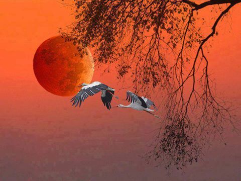 15826815_10207989079467807_6152935843474926646_n