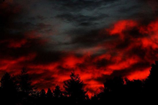 16002926_1362768007097800_8613923318772956170_n