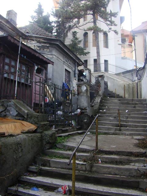 16174820_582471295288900_5630636100395820357_n